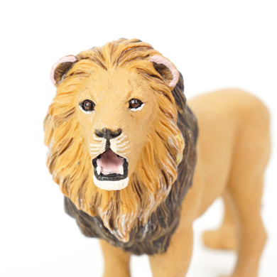 Wild Wildlife Collection: Lion