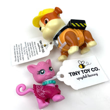 Load image into Gallery viewer, Piñata Pack (50 Pieces + 50 Tags + 50 Elastics)
