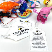 Load image into Gallery viewer, Piñata Pack (50 Pieces + 50 Tags + 50 Elastics)