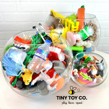 Load image into Gallery viewer, &quot;I Spy&quot; Glass Terrarium