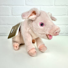 Load image into Gallery viewer, Realistic Stuffed Pig *NWT*